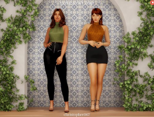 Purgatory Top / Christopher067 (Patreon Early Access)