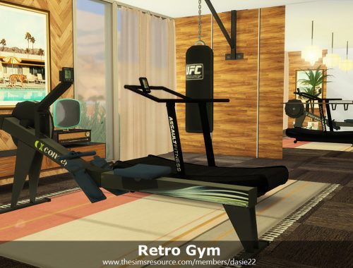 Retro Gym