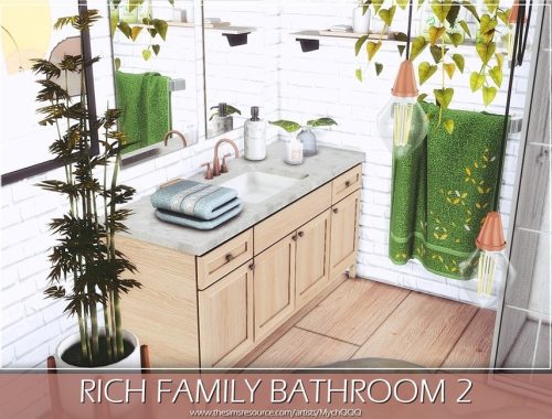 Rich Family Bathroom 2