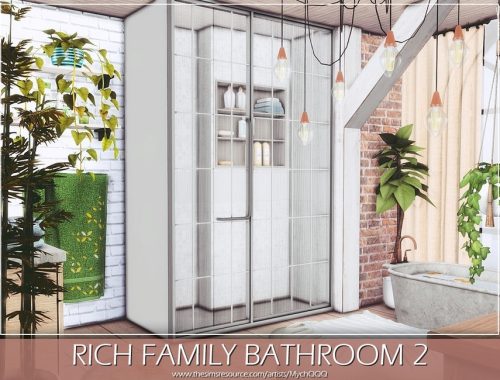 Rich Family Bathroom 2