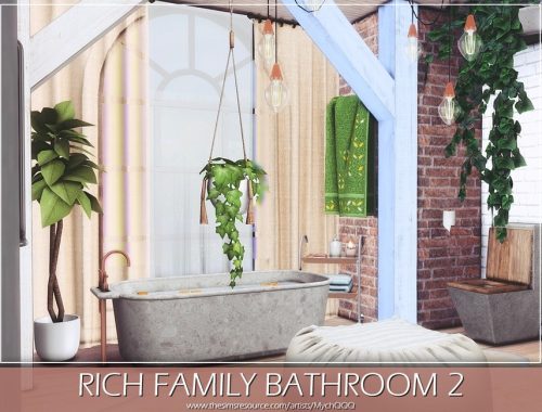 Rich Family Bathroom 2