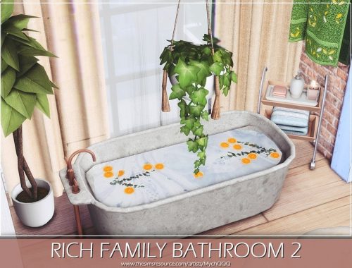 Rich Family Bathroom 2