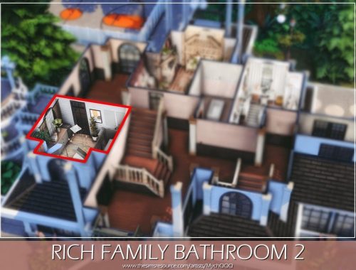 Rich Family Bathroom 2