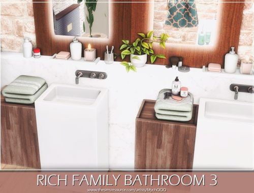Rich Family Bathroom 3