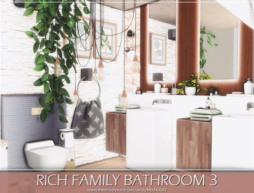 Rich Family Bathroom 3