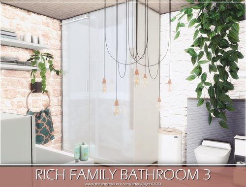 Rich Family Bathroom 3