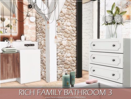 Rich Family Bathroom 3