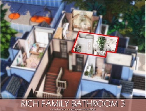 Rich Family Bathroom 3
