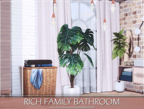 Rich Family Bathroom