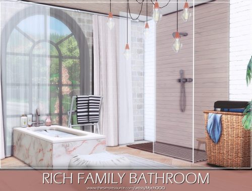 Rich Family Bathroom