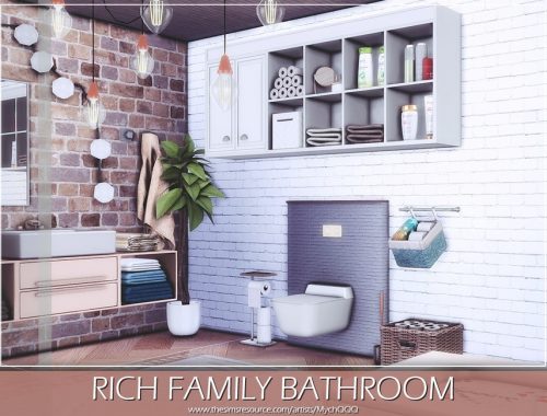 Rich Family Bathroom
