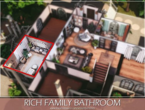 Rich Family Bathroom