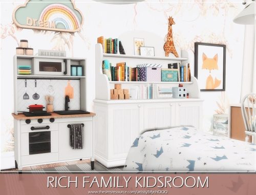 Rich Family Kidsroom