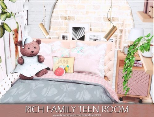 Rich Family Teen Room