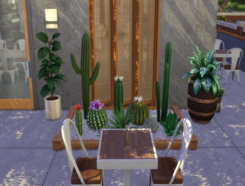 Rustic Restaurant