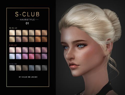 S-Club ts4 WM Hair 202101