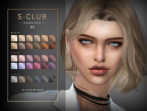 S-Club ts4 WM Hair 202103