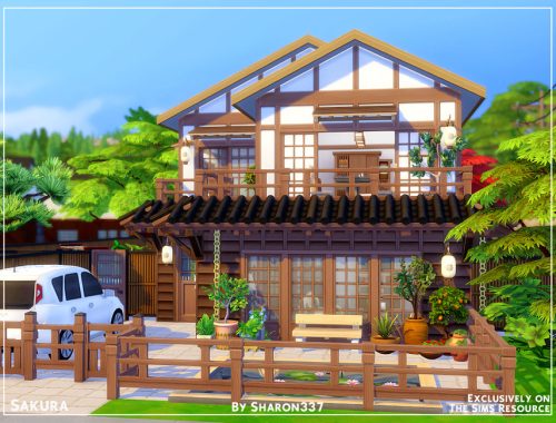 Sakura - Nocc