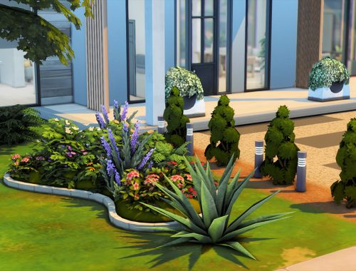 Salisbury (NO CC)