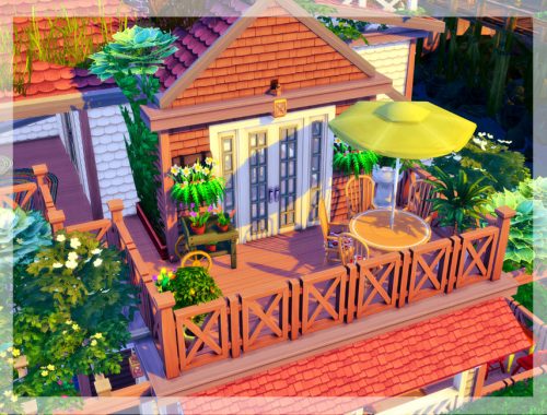 Salty Paws Bar