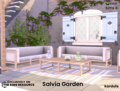 Salvia Garden