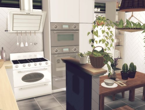 Sara Kitchen