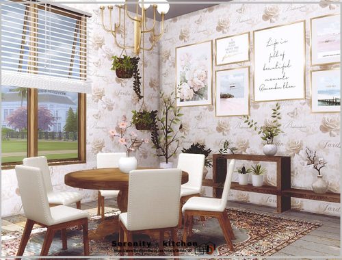 Serenity - kitchen