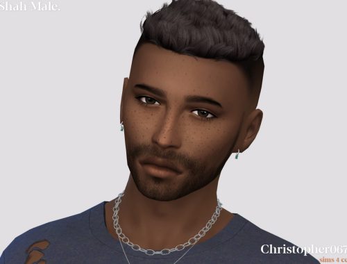 Shah Earrings Male