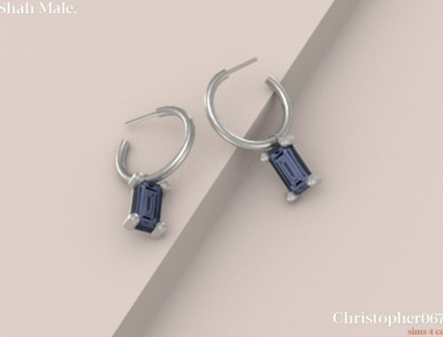 Shah Earrings Male
