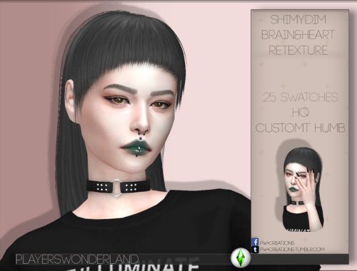 Shimydim Brain&Heart Retexture *MESH NEEDED*
