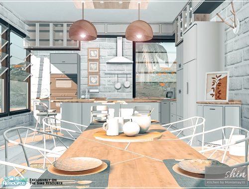 Shin Kitchen