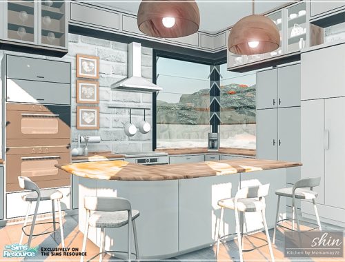 Shin Kitchen