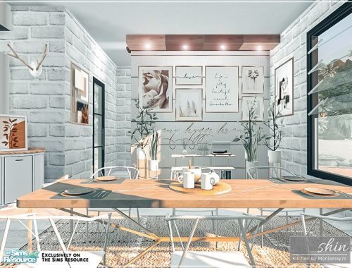 Shin Kitchen