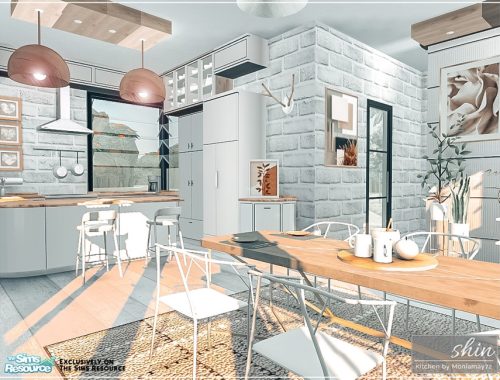 Shin Kitchen