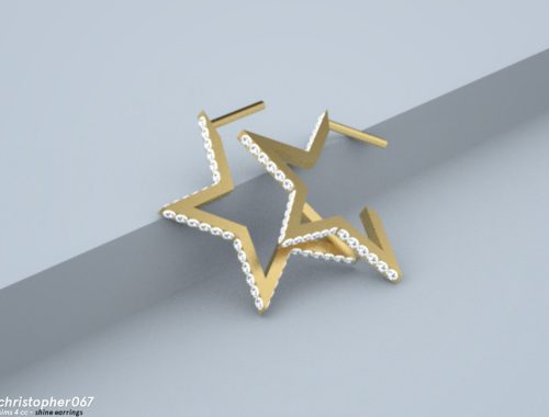 Shine Earrings / Christopher067