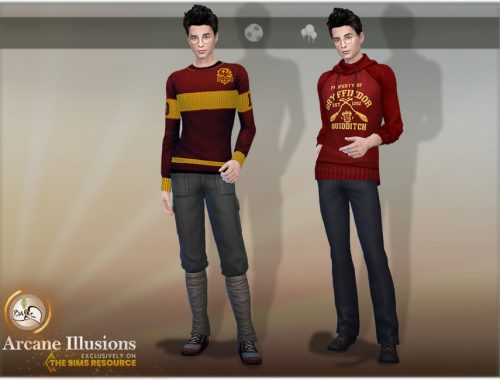 SIM Harry Potter - ArcaneIllusions - TSR only CC