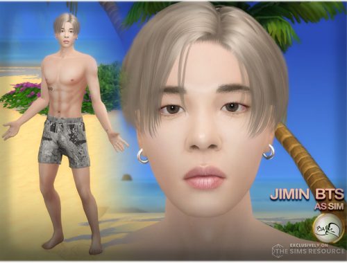SIM Jimin BTS
