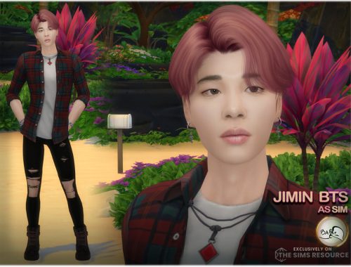SIM Jimin BTS