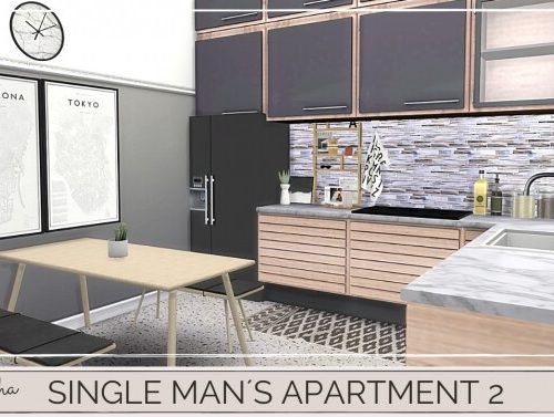 SINGLE MAN´S APARTMENT 2 at Dinha Gamer