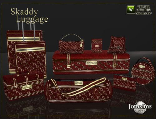 Skaddy luggage