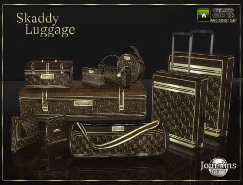 Skaddy luggage
