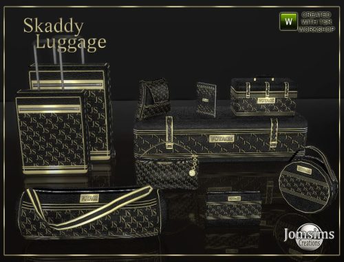 Skaddy luggage