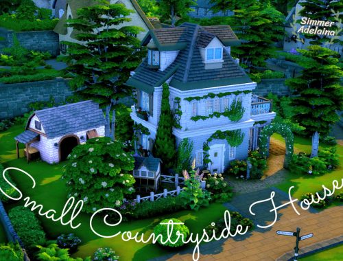 Small Countryside House