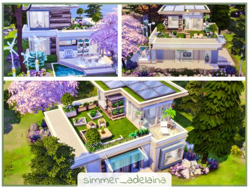 Small Eco House