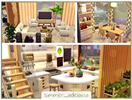 Small Eco House