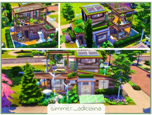 Small Eco Students House