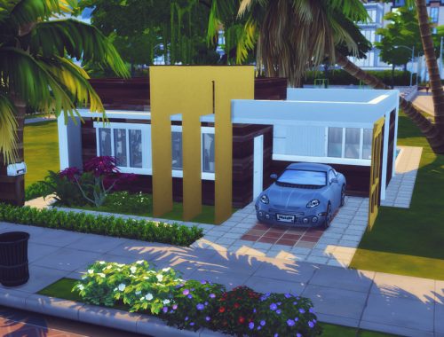 Small Exotic |No CC