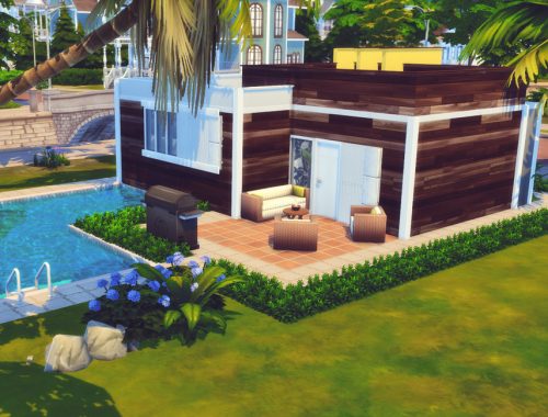 Small Exotic |No CC