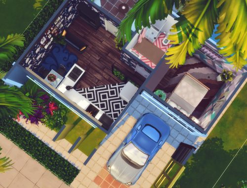 Small Exotic |No CC