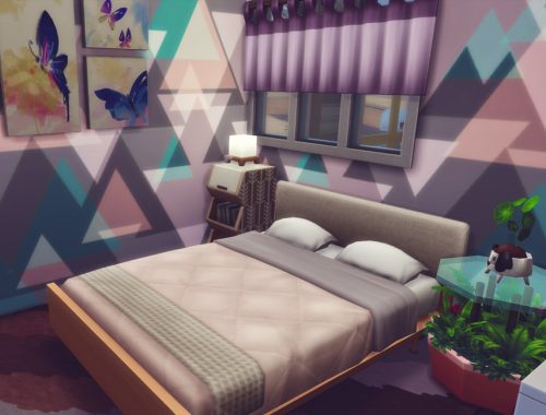 Small Exotic |No CC